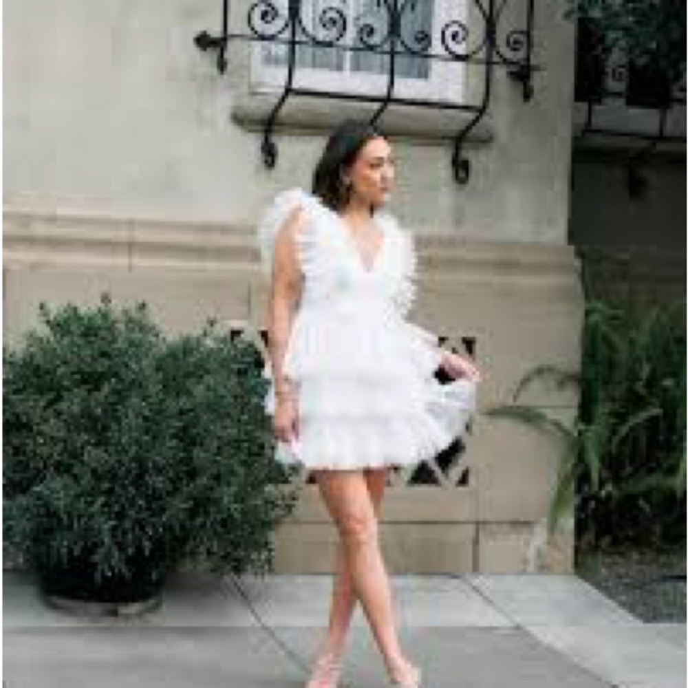 NWT Birdy Grey Tiered Tulle Dress